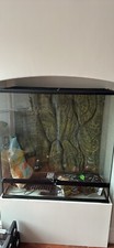 Vivarium large x for sale  WORCESTER
