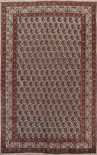 paisley area rug for sale paisley area rug for sale Charlotte