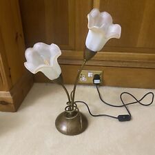 Minerva calla lily for sale  COULSDON