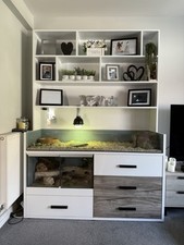 Reptile vivarium custom for sale  ALDERSHOT
