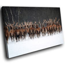 A555 stag winter for sale  STRABANE