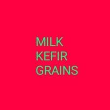 Milk kefir grains for sale  PAISLEY