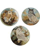 coalport owl plates for sale  UK