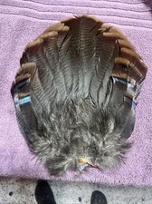 Secondary tail feathers for sale  Madison Lake