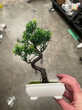 Fake bonsai tree for sale  Ooltewah