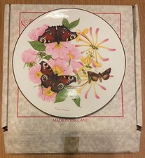 Beauty butterflies collection for sale  DARTFORD