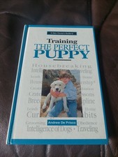 guide dog puppies for sale guide dog puppies for sale BLANDFORD FORUM