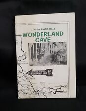 Mid century wonderland for sale  Morrisonville