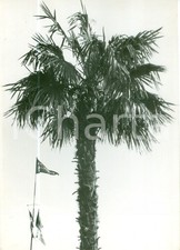 1940 a.o.i. aviazione usato  Milano