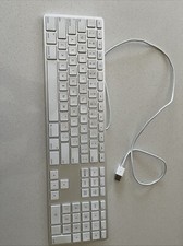 Tastiera apple a1243 usato  Talamona