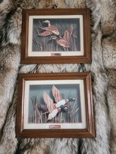 Beautiful duck prints for sale  Westmoreland