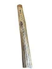 Rain stick cactus for sale  Butler