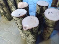 Birkenstamm birkenholz birkens gebraucht kaufen  Grattersdorf