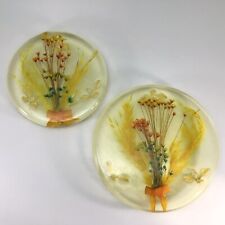 Vintage lucite resin for sale  Boyertown