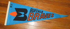 Vintage 1970 pennant for sale  Lockport