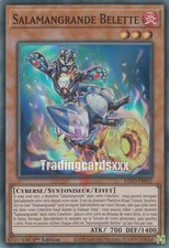 Salamangrande belette sr d'occasion Salamangrande belette sr d'occasion  France