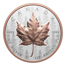 Silver maple leaf gebraucht kaufen  München