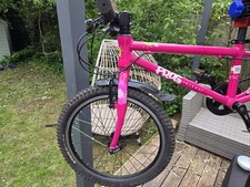 Frog pink hybrid for sale  WELWYN GARDEN CITY