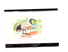 Birds odd silk for sale  UK