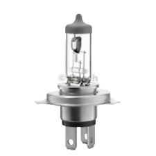 Bosch lampadina auto usato  Morro d'Oro