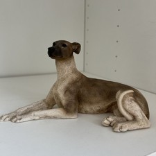 Castagna italy greyhound for sale  BIRMINGHAM