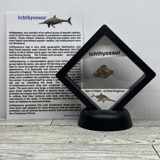 Ichthyosaur extinct dinosaur for sale  Davenport