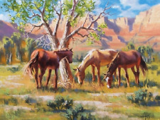 Tom haas painting for sale  Sierra Vista