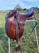 Hornless australian outrider for sale  Newport