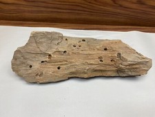 Petrified wood large for sale  Weatherford