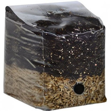 Usado, 🍄 All In One Dung Lover Mushroom Spawn Bag com porta de injeção 💉 5 lb comprar usado  Enviando para Brazil