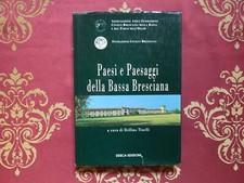 Paesi paesaggi della usato  Sarezzo