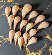 Meeresschnecken gebraucht kaufen  Halver