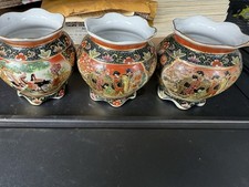 Small asian fish for sale  Kansas City