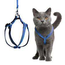 Filbert cat harness for sale  Carrollton