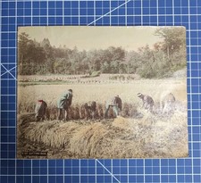 Foto montada no Japão 11,5x9 albumina cortada à mão arroz cortado (C 23) Meiji, usado comprar usado  Enviando para Brazil