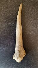 antler for sale  Ireland