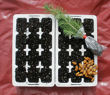 Grow tree professional for sale  PRESTON