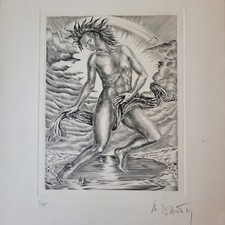 Rare grande gravure d'occasion  Neuilly-Plaisance