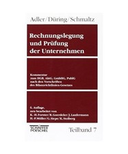 Rechnungslegung prüfung unter gebraucht kaufen  Trebbin