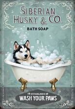 Siberian husky bath for sale  DUNSTABLE