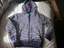 Reversible dinosaur stripe for sale  CORSHAM