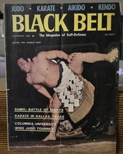 martial arts black belt for sale  Mesa