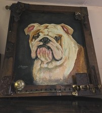 Bull dog olio usato Bull dog olio usato  Spedire a Italy