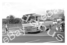 scs angus for sale scs angus for sale ALFRETON