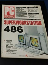 Professionale dicembre 1991 usato  Firenze