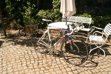 Rennrad giant tcr gebraucht kaufen  Haldensleben