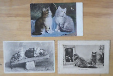 Old postcards cats for sale  BIRMINGHAM
