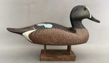 Blue wing teal for sale  Goodyear