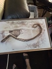R40 evans colson for sale  Fremont