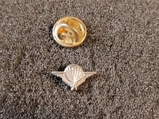 Pin insigne brevet d'occasion  Besançon